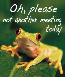 Too Many Unnecessary Meetings